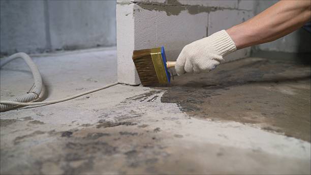 Specialized Wet Basement Repair services in New York, NY